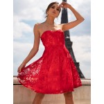 Guipure Lace Tube Dress