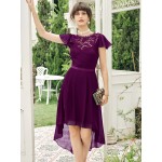 Lace Insert Zip Back High-low Hem Dress